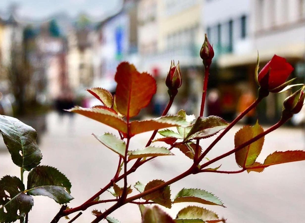 Das-Lagerhaus-Kleine-Oase Daire Zweibrücken Dış mekan fotoğraf
